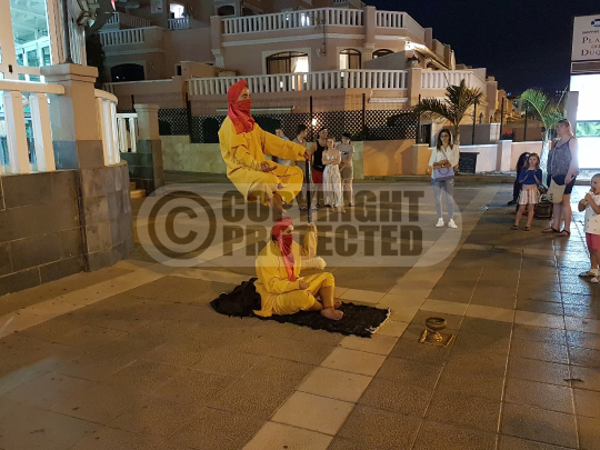 Teneriffa 2017 Costa Adeje von Luftbild24.de 2017170664